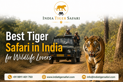Best Tiger Safari in India for Wildlife Lovers.png