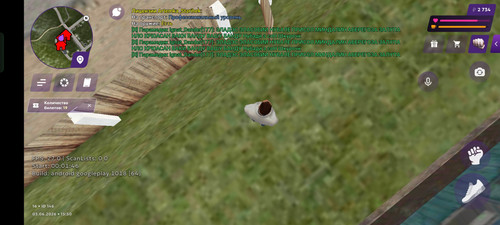 1000000801.jpg