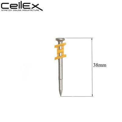 f509ecf007bb.jpg