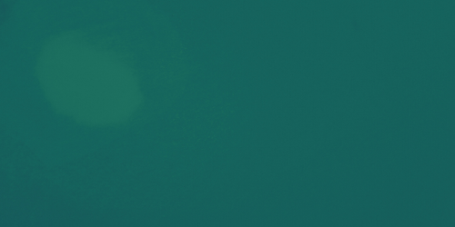 temp.png