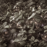 Witch's village in the enchanted woods