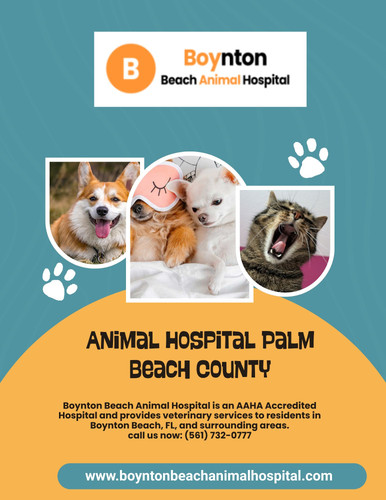 Animal Hospital Palm Beach County.jpg