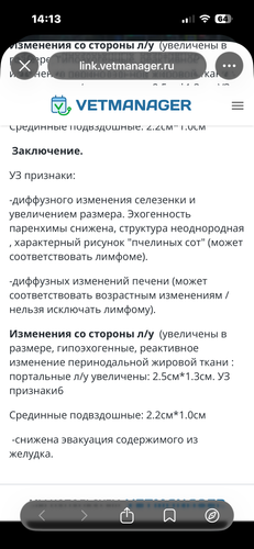 IMG 6638.png