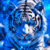 4.gif