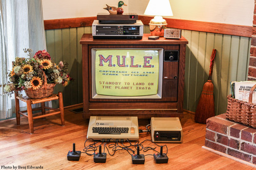benj edwards mule photo.jpg