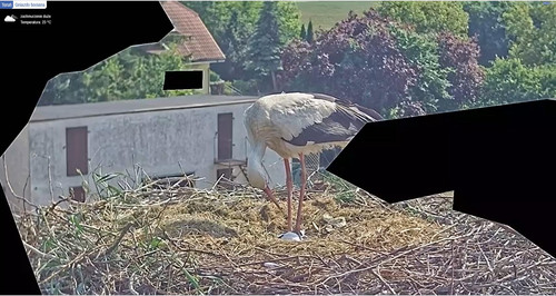 MWSnap719.jpg