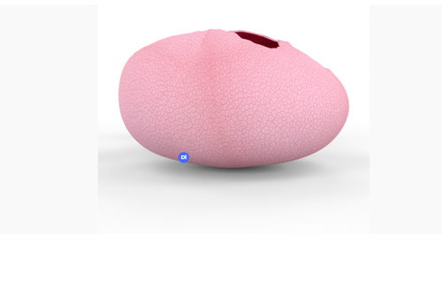 msedge T3MlTVg0ON.png