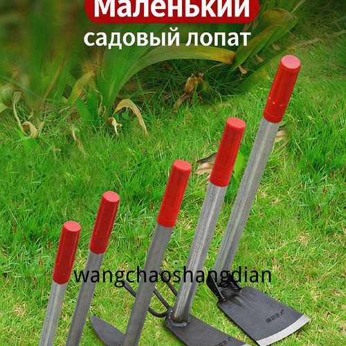 1780505587356.jpg