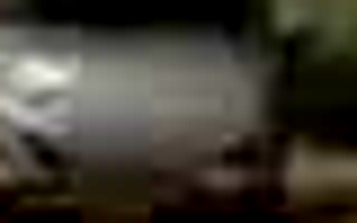 platex.png