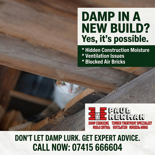 Damp in a New Build Yes, It's Possible!.png