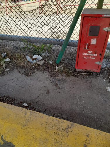photo4.jpg