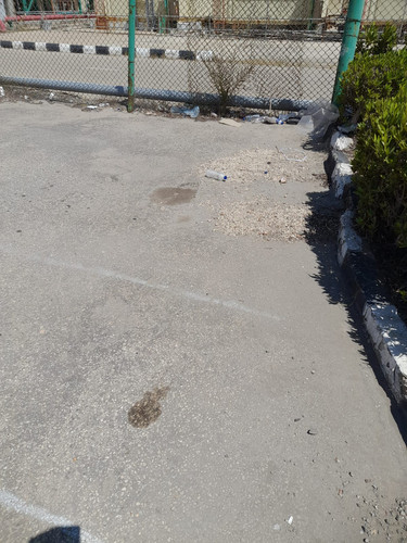 photo1.jpg