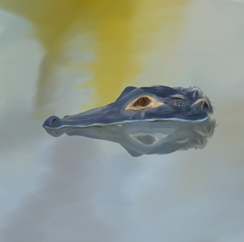 Untitled556 20260604085429.png