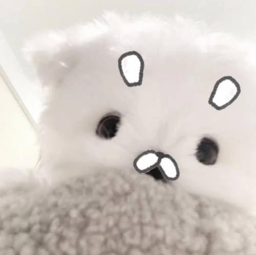 屏幕截图 2026 06 04 205742.png