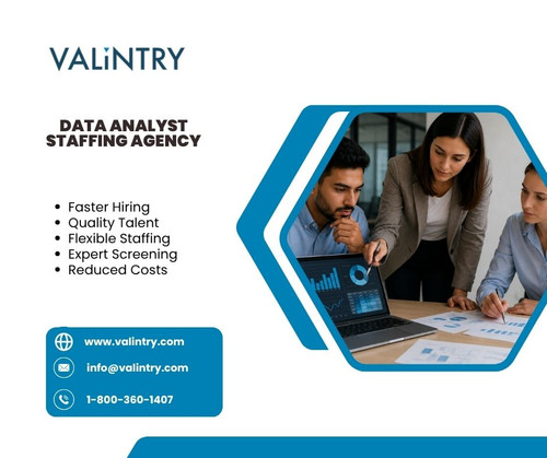 Data Analyst Staffing Agency.jpg