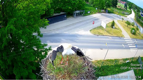 MWSnap757.jpg