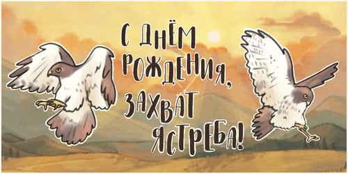 обложка.png