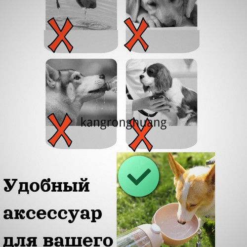 1780499885467.jpg