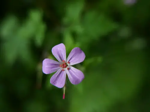a1659d7bd56e.webp
