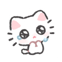 IMG 202608231 211150083.png