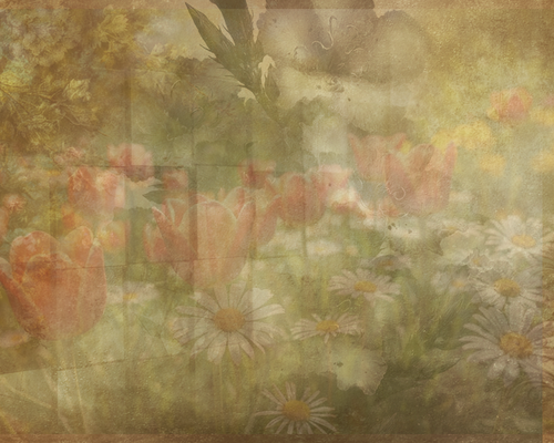 panelsnflowers.png
