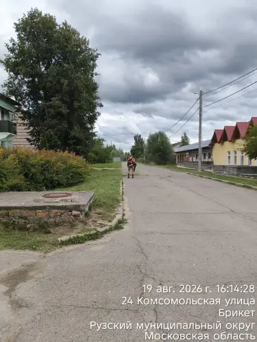 photo.webp