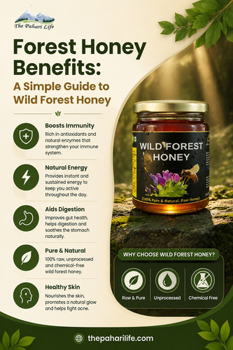 Forest Honey Benefits A Simple Guide to Wild Forest Honey.jpg