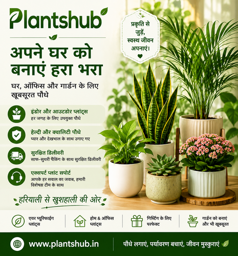 Plantshub.png