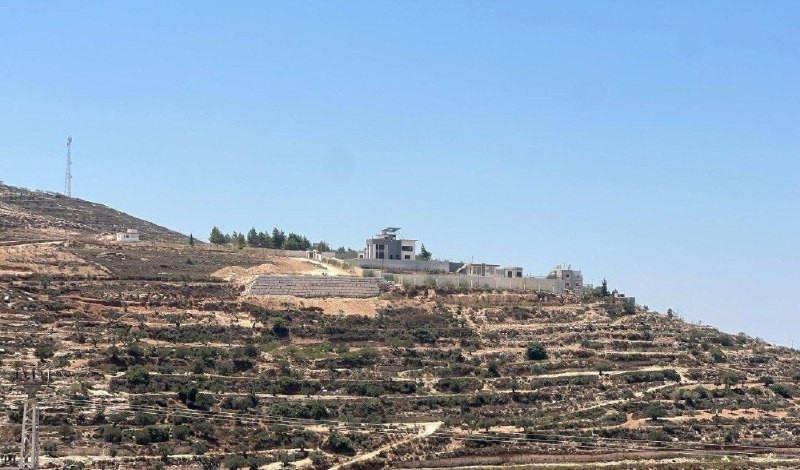 صورة الخبر