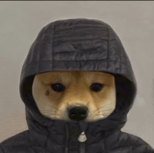 1000001379.png