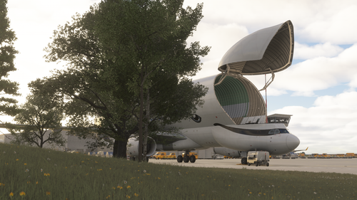 Microsoft Flight Simulator 2024 18 08 2026 19 11 22.png