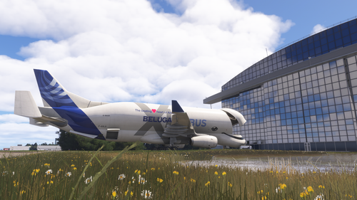 Microsoft Flight Simulator 2024 18 08 2026 13 05 38.png