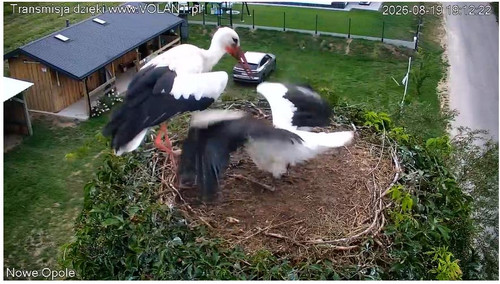 MWSnap748.jpg