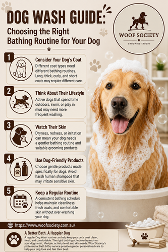 Dog Wash Guide Choosing the Right Bathing Routine for Your Dog.2