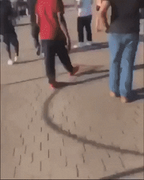 CLFibSt.gif