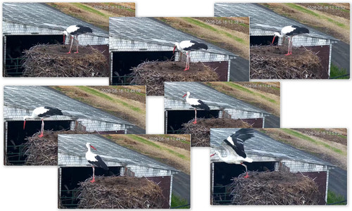 Bilder18.jpg