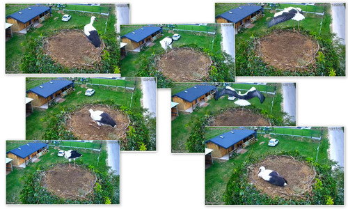 Bilder19.jpg
