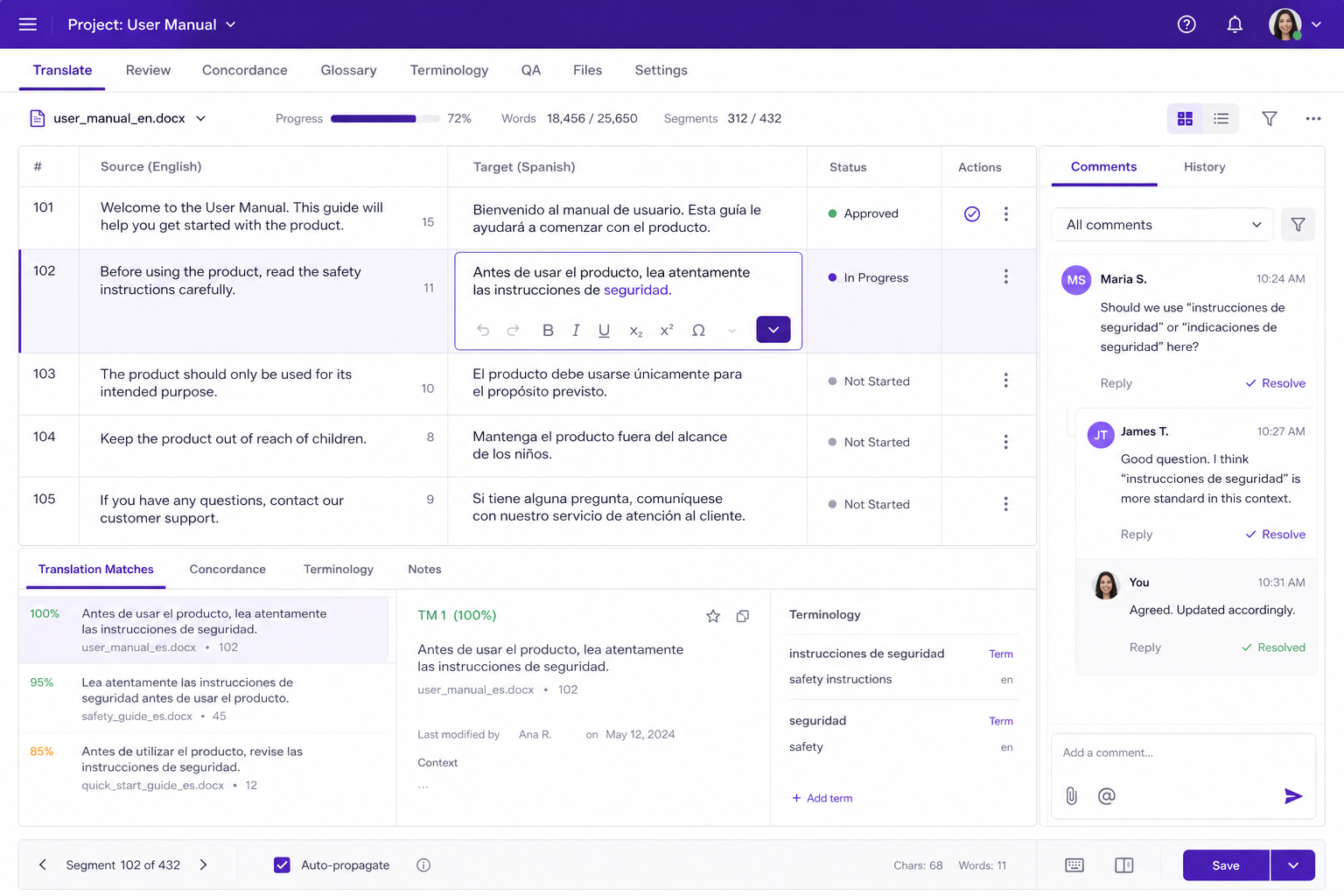 CAT workspace with bilingual segments and team comments