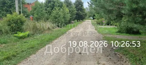 photo.webp
