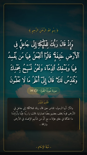 33a49b5017ab.jpg