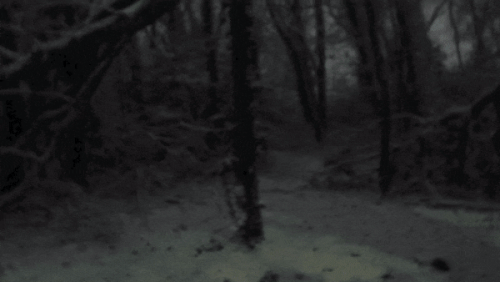 C55FF2EF B008 4A86 8CBE 2DA4475942A1.gif