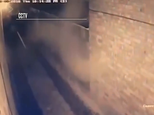 shot10.png