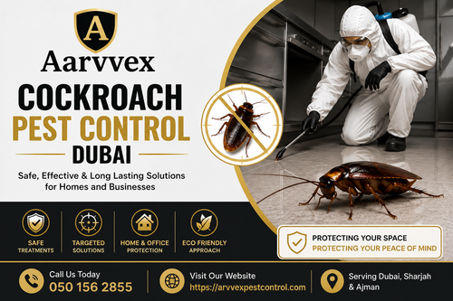 Take Back Your Space With Expert Cockroach Control.png