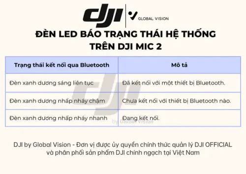 54d5e086f02c.webp