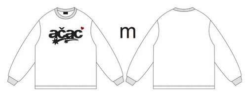 ACCX147 02.jpg