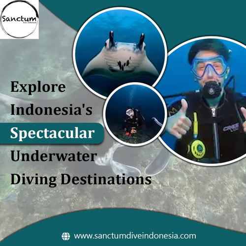 Explore Indonesia's Spectacular Underwater Diving Destinations.jpg
