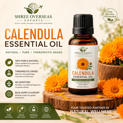 Calendula Essential Oil Bulk Supplier Premium B2B Sourcing Guide for Global Buyers.png
