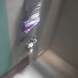 temp.png