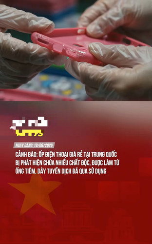 ba78ae3d17ec.jpg