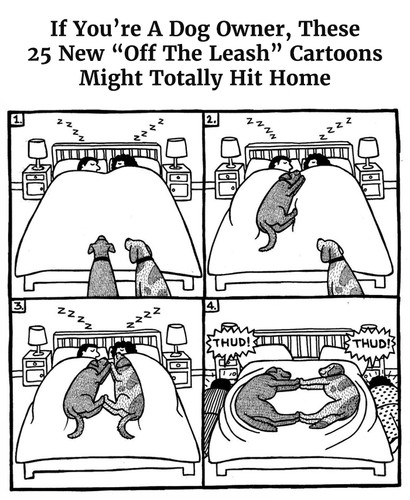 off the leash dog cartoons rupert fawcett part 12.jpg